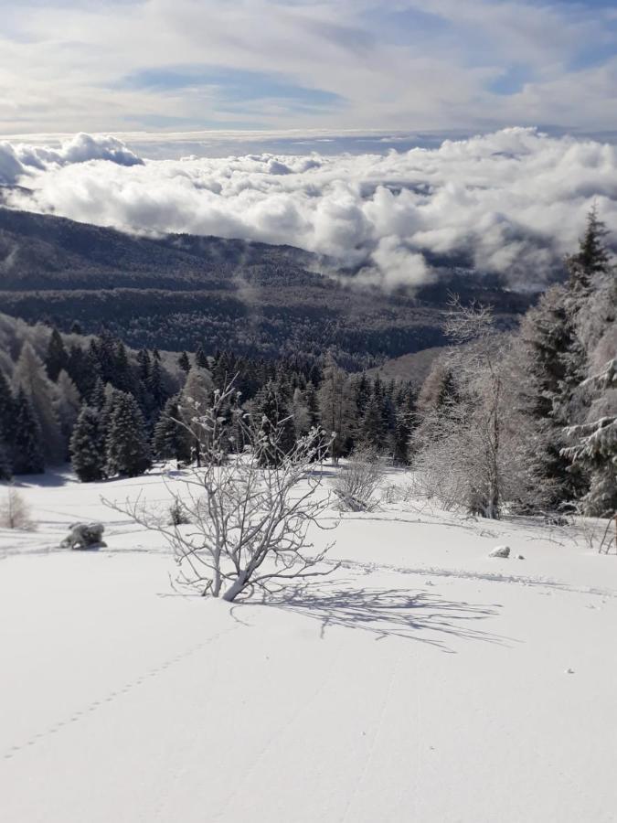 Da C I S A Bed & Breakfast Tambre dʼAlpago Eksteriør bilde