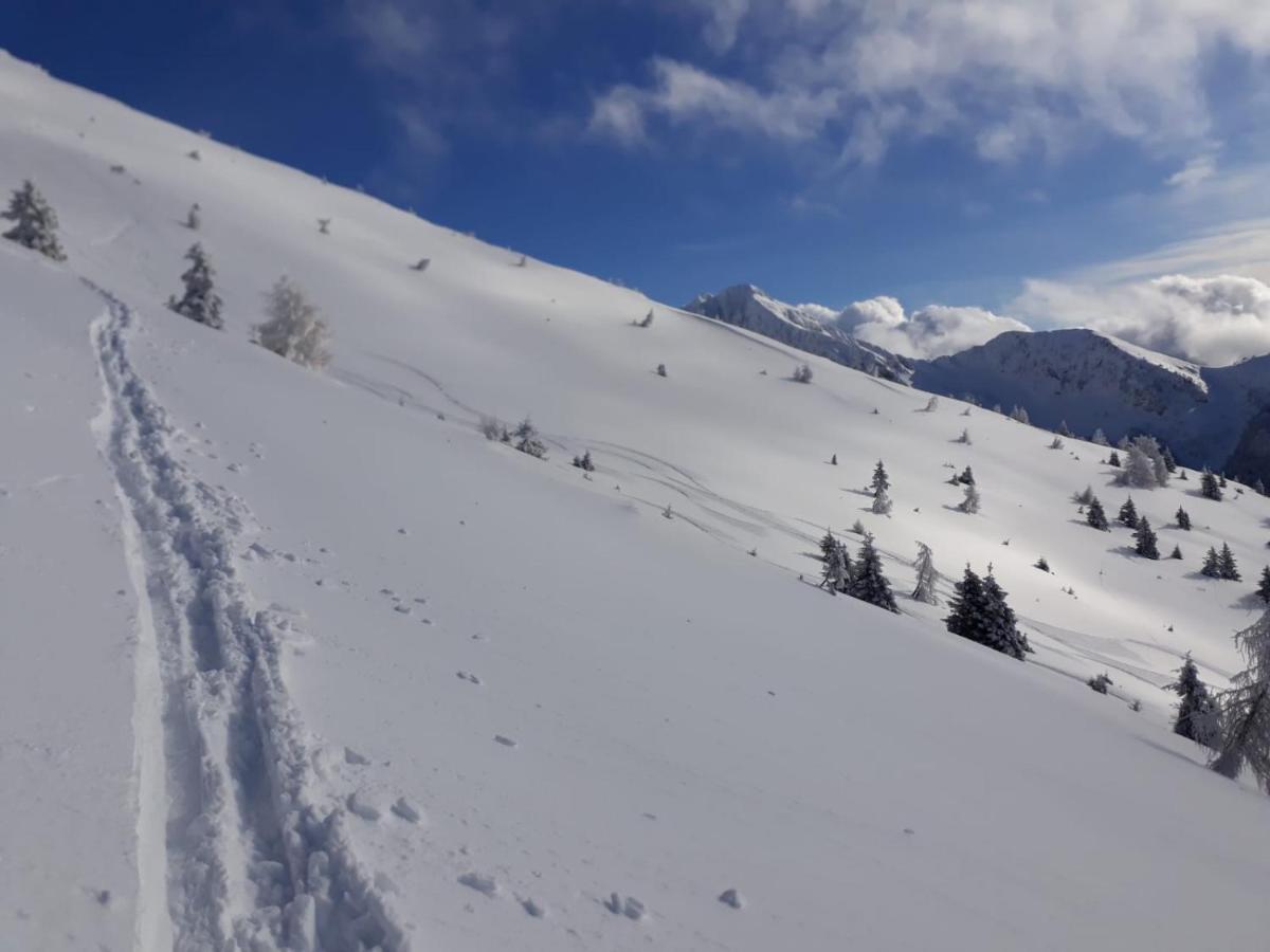 Da C I S A Bed & Breakfast Tambre dʼAlpago Eksteriør bilde