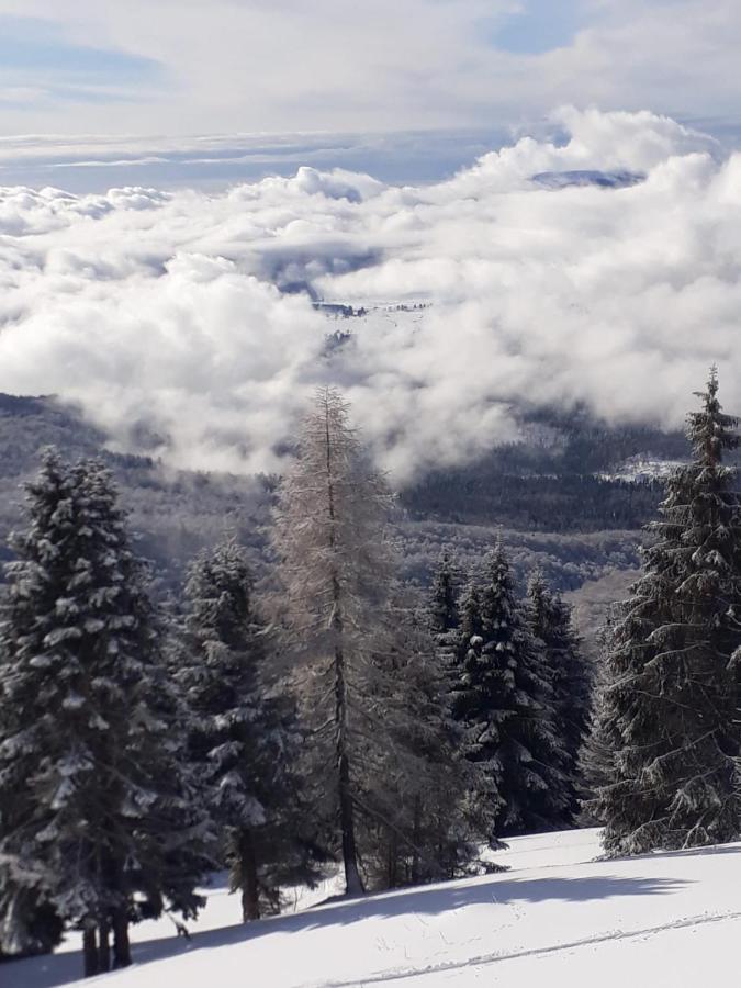 Da C I S A Bed & Breakfast Tambre dʼAlpago Eksteriør bilde