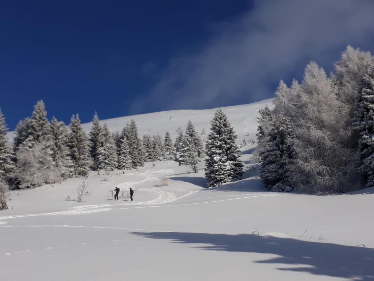 Da C I S A Bed & Breakfast Tambre dʼAlpago Eksteriør bilde
