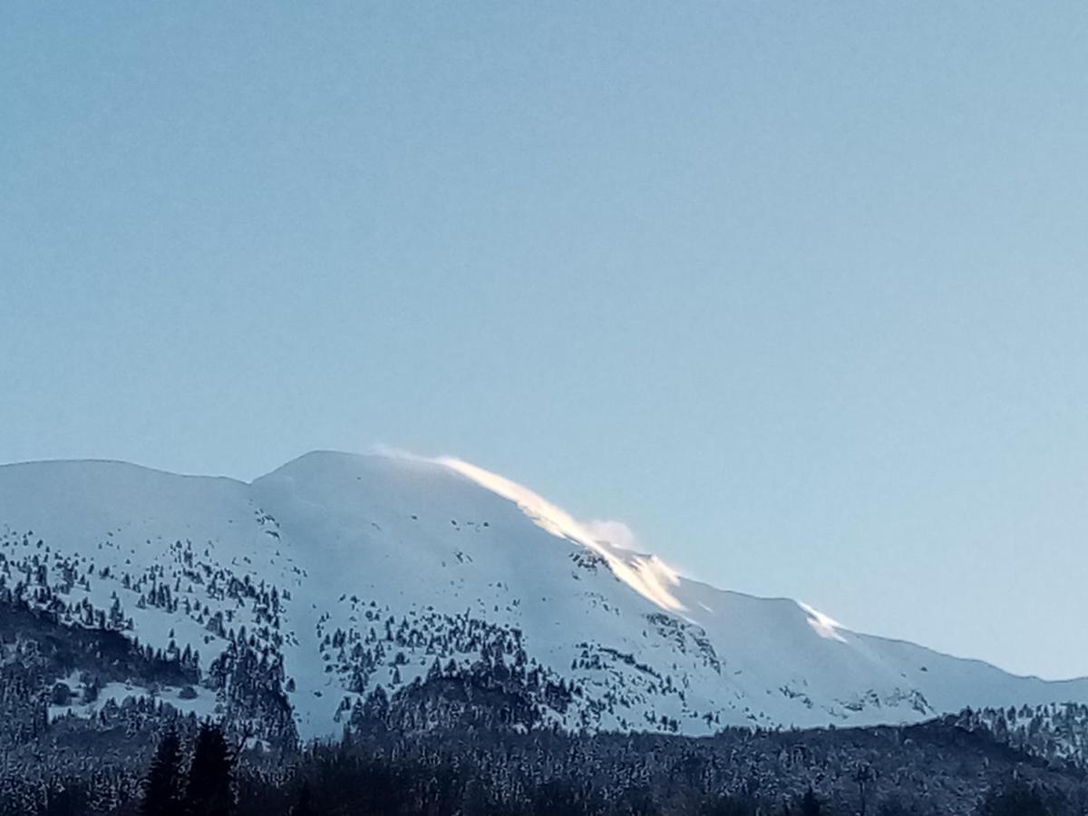 Da C I S A Bed & Breakfast Tambre dʼAlpago Eksteriør bilde